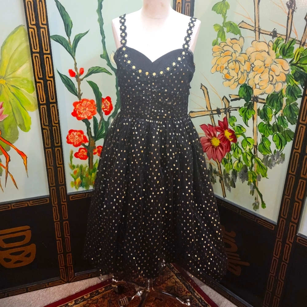 Voodoo Vixen Black and gold tulle dress.